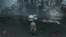 Scimmia senza testa che corre